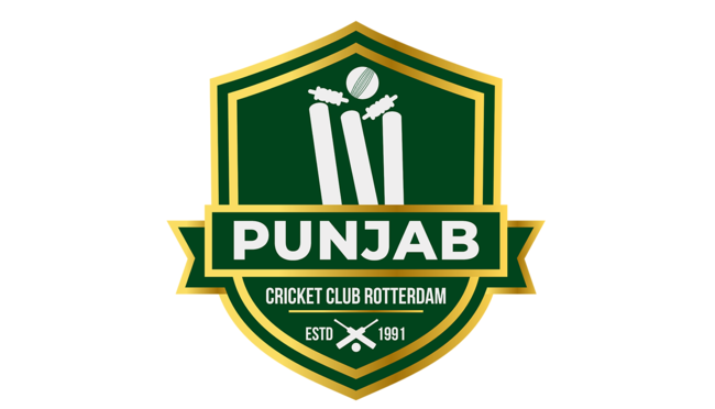 Weblogo - Punjab cricket